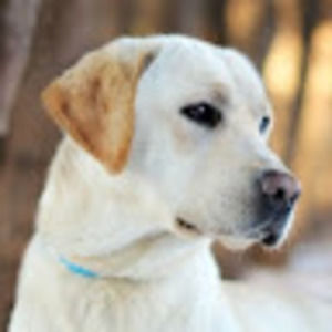 Meet your Posher, Byron